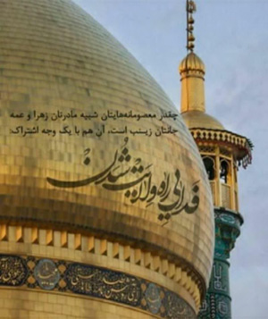  یاد امام مهدی(عجل الله تعالی فرجه الشریف) در زیارت‌نامه‌ی حضرت معصومه سلام الله علیها 